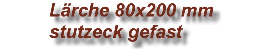 Lärche 80x200 stutzeck gefast