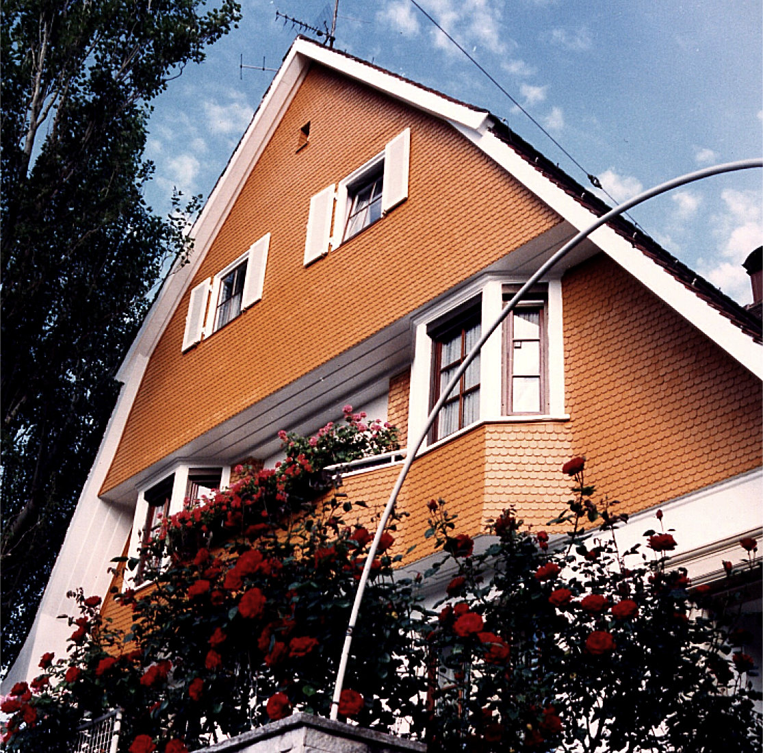 Fichten-Schindelelemente 70x180 stutzeck